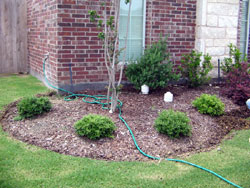 Before Photo