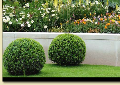 Landstar Landscape