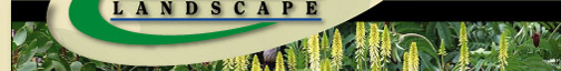 Landstar Landscape